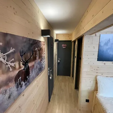 Appartement T4 Type Chalet Pra-loup